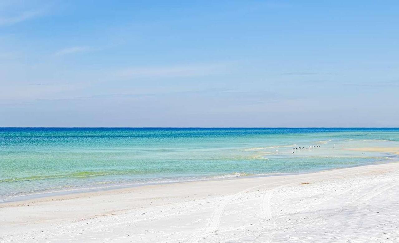 Emerald Beach 1036 - Turquoise Turtle بنما سيتي بيتش المظهر الخارجي الصورة